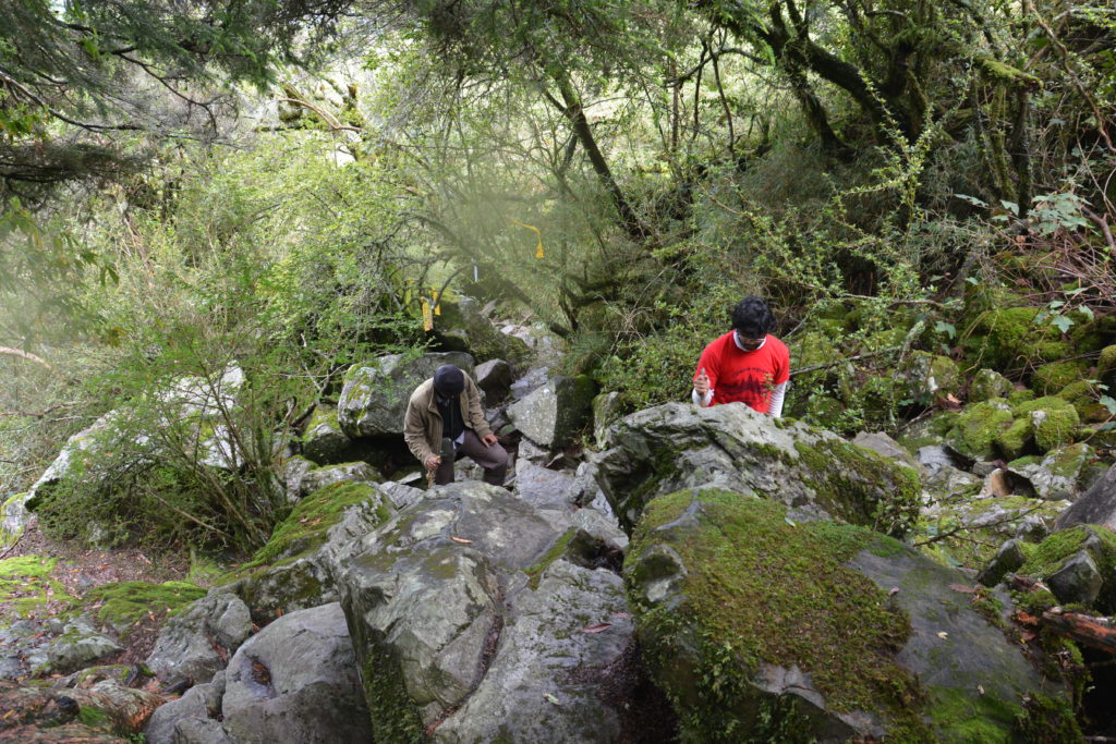 Too many rocks to climb